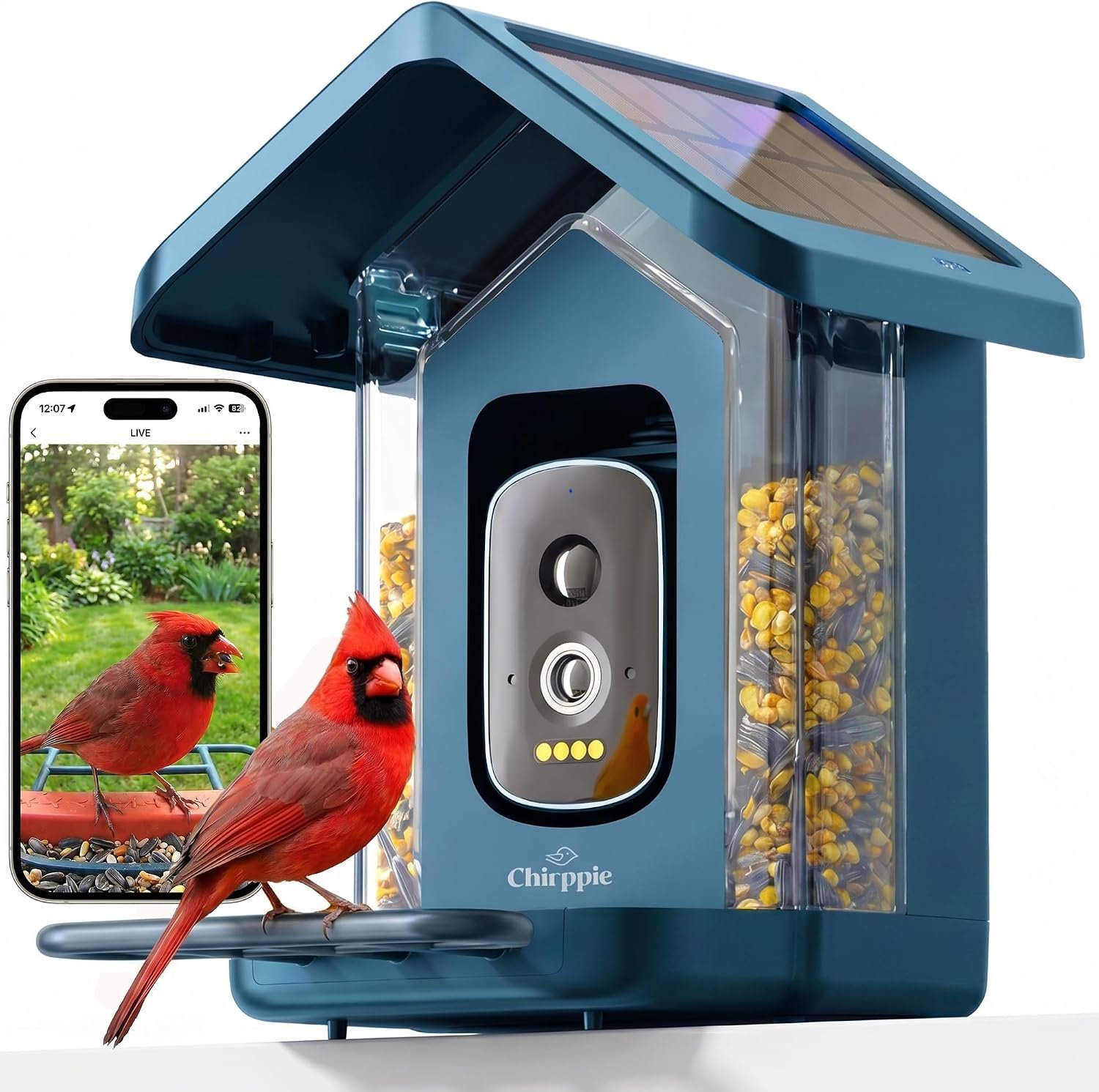 bird feeder window